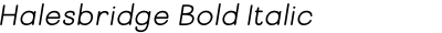 Halesbridge Bold Italic